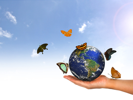 Blue Planet Earth on Handの写真素材