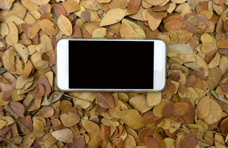 Blank white smartphone screen on dry leaves - mockup templateの写真素材