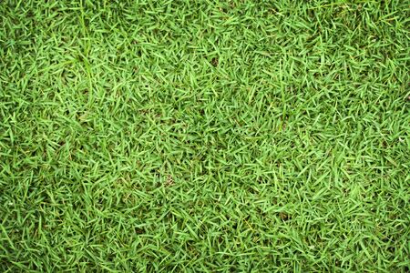 Bright green grass in a football field. This requires a lot of grass, green grass texture or green grass background for football theme and conceptの写真素材