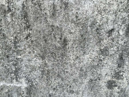 Abstract Cement wall texture background for your designの写真素材