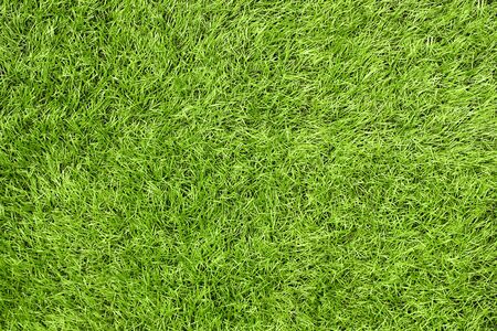 Bright green artificial grass in a football field. This requires a lot of artificial grass - green grass texture or green grass background for football theme and conceptの写真素材