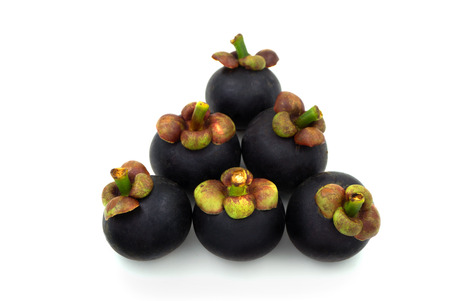 The purple mangosteen (Garcinia mangostana), known simply as mangosteen, is a tropical evergreen tree believed to have originated in the Sunda Islands and the Moluccas of Indonesia.の写真素材