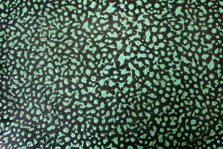 Abstract green Paint colour wall texture background decoration for living room.の写真素材