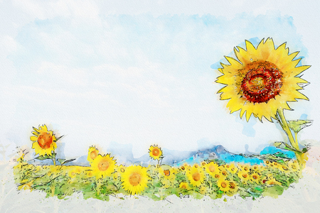 Watercolor of Sunflower field in blue sky.の写真素材