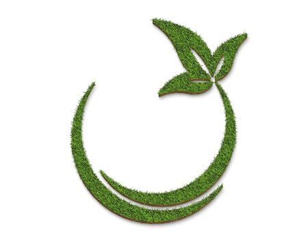 Green grass circle and leaf plate surface, isolated on a white background for green concepts. 3D illustration.の写真素材