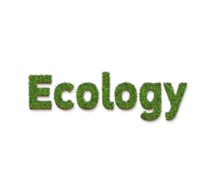 The text of the ecology is a green grass texture, isolated on a white background for green concepts....