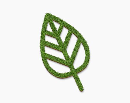 green grass leaf plate surface, isolated on a white background for green concepts. 3D illustration.の写真素材