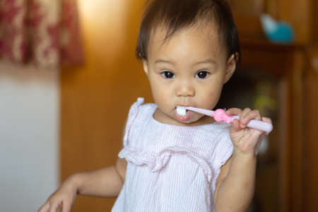 An 11-month-old girl practicing a toothbrush by herself from her mother's teaching.の写真素材