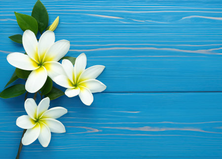 White flower on blue wooden background from top view.の素材