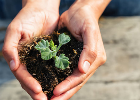 Hand delicately holding a small plant. Discover the beauty of nature and the joy of nurturing life. Perfect for environmental concepts, gardening, and sustainable living.の素材