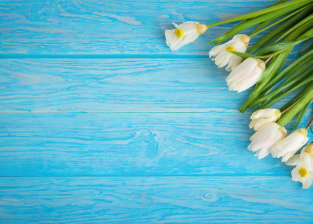 White flowers on blue wooden in this elegant floral photography. Experience the beauty of nature's delicate blooms.の素材