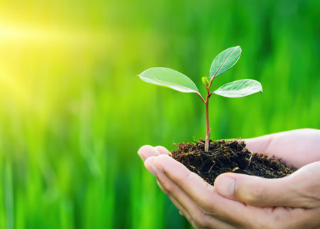 Planting the Seeds of Tomorrow: A Hand Grasping a Small Plant, Embodying the Power of Renewal and Care.の素材
