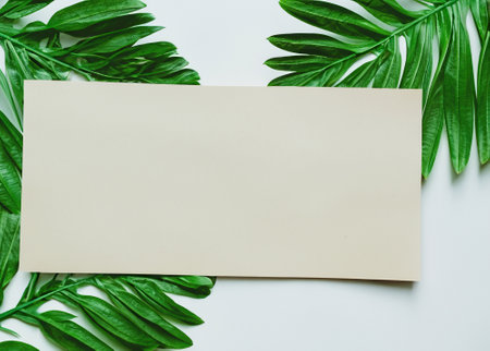 Botanical Beauty: Green Leaf Frame and Paper Border on White Background, Nature-inspired Decorative Elementの素材