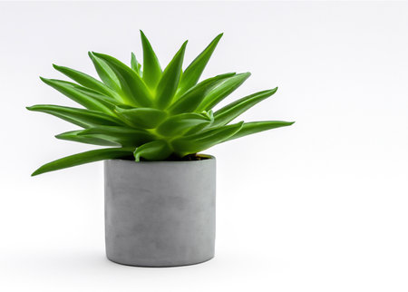 Freshness in Simplicity: Vibrant Leafy Plant in Pot on White Background | Nature's Serene Beauty.の素材