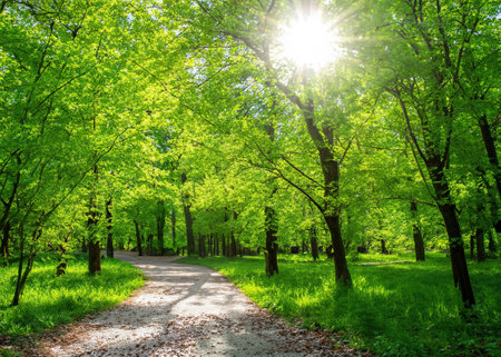 "Tranquil Park Scene, Sunlight Filters Through Verdant Canopy"の素材