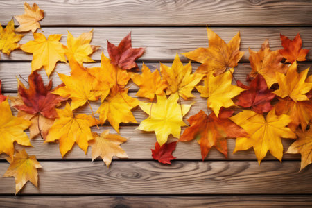 "Autumnal Elegance, Maple Leaves on Wooden Surface"の素材