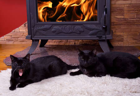 Warm winter fireの写真素材