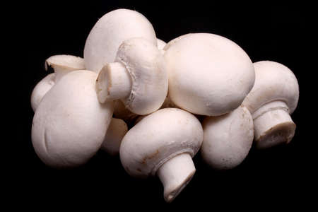 White field mushrooms isolated, black backgroundの写真素材