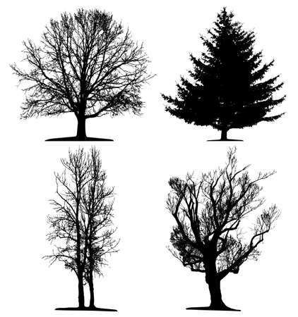 Treesの写真素材
