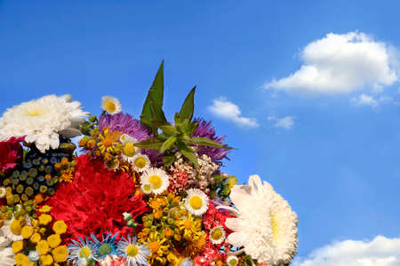 Spring flowers on blue sky backgroundの写真素材