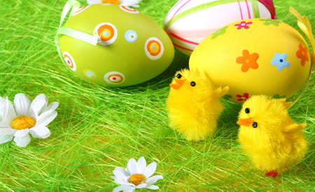 chicks near eggsの写真素材