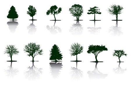 Tree (vector)のイラスト素材