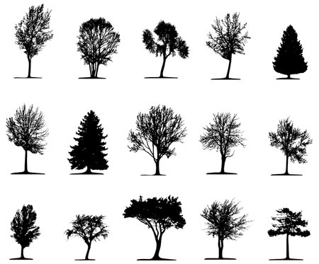 Trees (vector)のイラスト素材