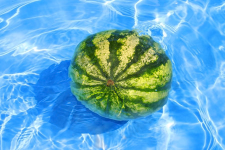 Fresh water-melon in blue waterの写真素材