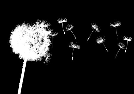 dandelions in wind on dark backgroundのイラスト素材