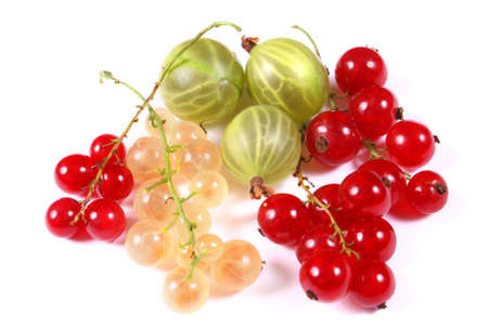 Fresh red, white currants and gooseberryの写真素材