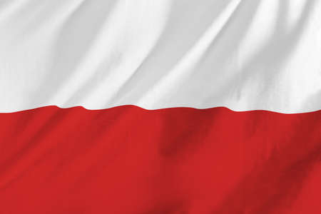 Polish flag waving in the windの写真素材
