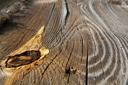 Grungy wooden textured backgroundの写真素材