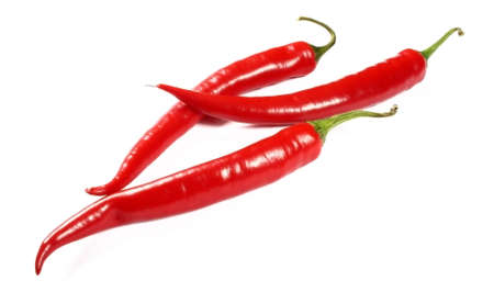 red hot chili pepper on white background  の写真素材