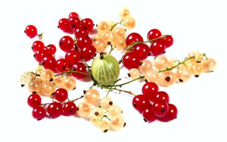 Fresh red, white currants and gooseberryの写真素材