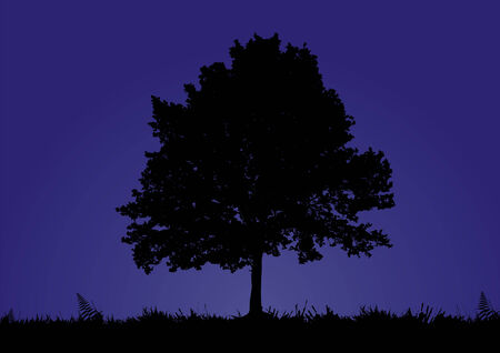 A solitary tree stands in a night backgroundのイラスト素材
