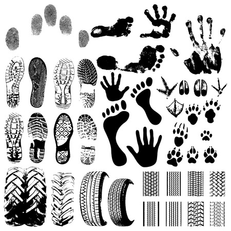 Handprints, Footprints, Animal handprints and wheels - vector on whiteのイラスト素材