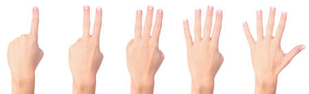 Counting woman hands isolated on white backgroundの写真素材