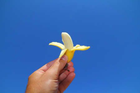 Baby banana fruit hold in caucasian white male hand over blue sky background. の写真素材