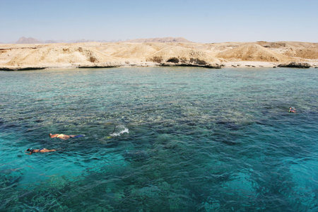 Diving in Egypt