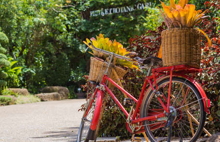 Old bicycle equipped with baskets of leavesの写真素材