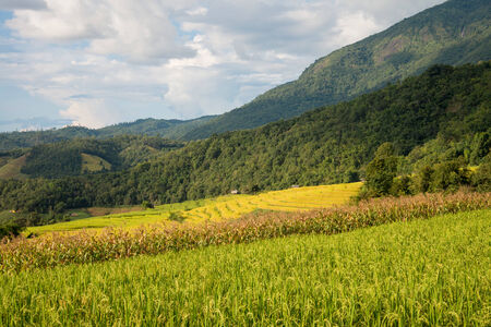 Beautiful hut & terraced rice on Mountain, Chiangmai Province, Northern of Thailandの写真素材