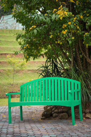 Beautiful green wooden chairs in the garden - Thailand, selective focusの写真素材