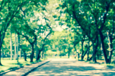 Abstract blurred big green park in city - defocus background  Vintage effect style