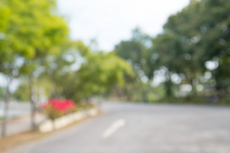 Abstract blur green nature city park background - Nature green conceptの写真素材