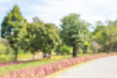 Abstract blur beautiful outdoor garden backgroundの写真素材