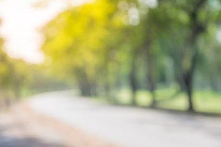 Blur of city park bokeh background in summer, green nature conceptの写真素材