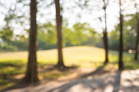 Blur of city park bokeh background in summer, green nature conceptの写真素材