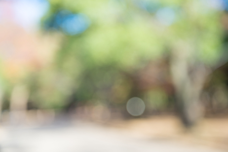 Abstract blur city park autumn season bokeh backgroundの写真素材
