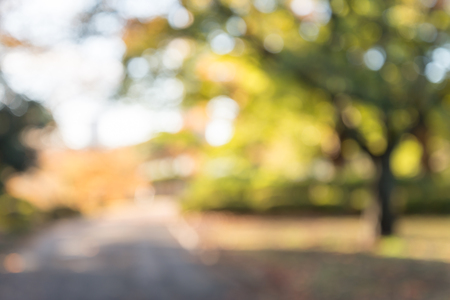 Abstract blur city park autumn season bokeh backgroundの写真素材