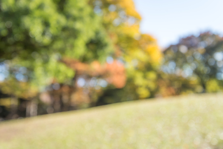 Abstract blur autumn season city park bokeh backgroundの写真素材